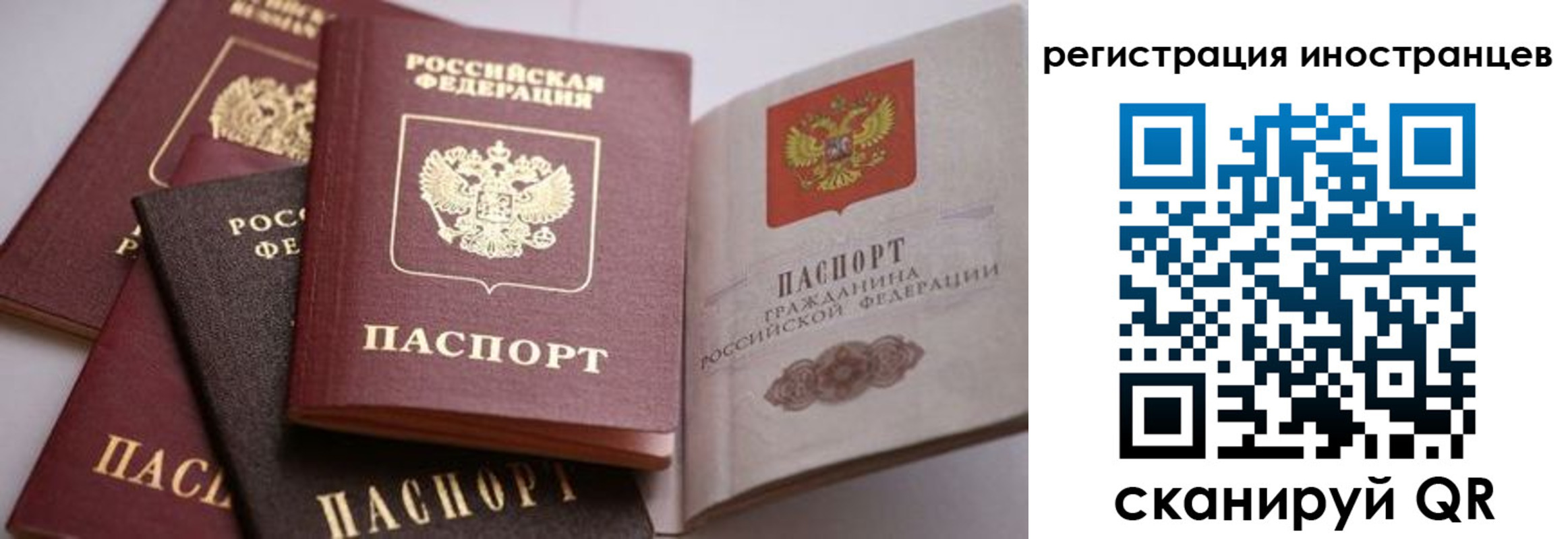 прописка штамп в Холмске